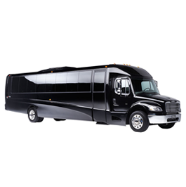 Mini-Busses & Coaches